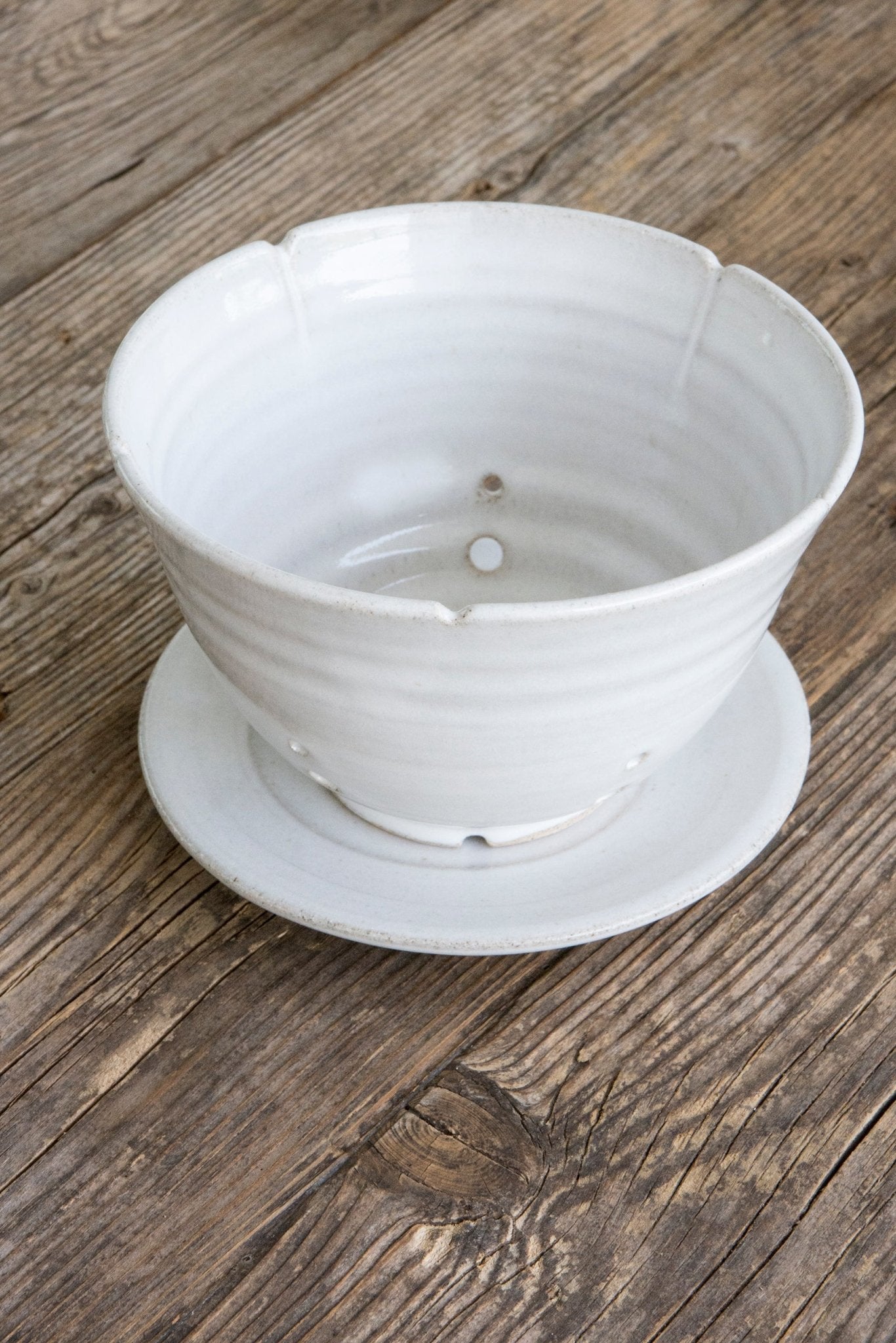 Berry Strainer Bowl - RAMIREZ ZANOTTY- colander