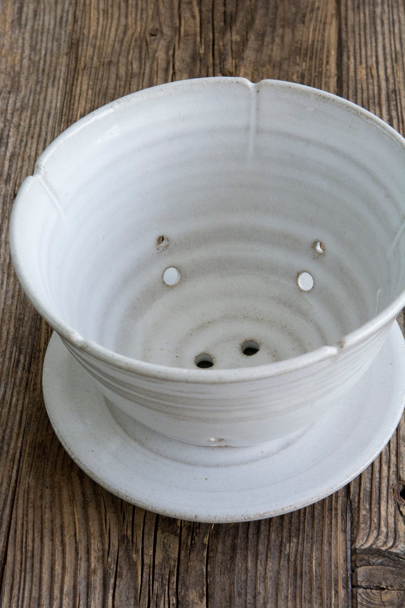 Berry Strainer Bowl - RAMIREZ ZANOTTY- colander
