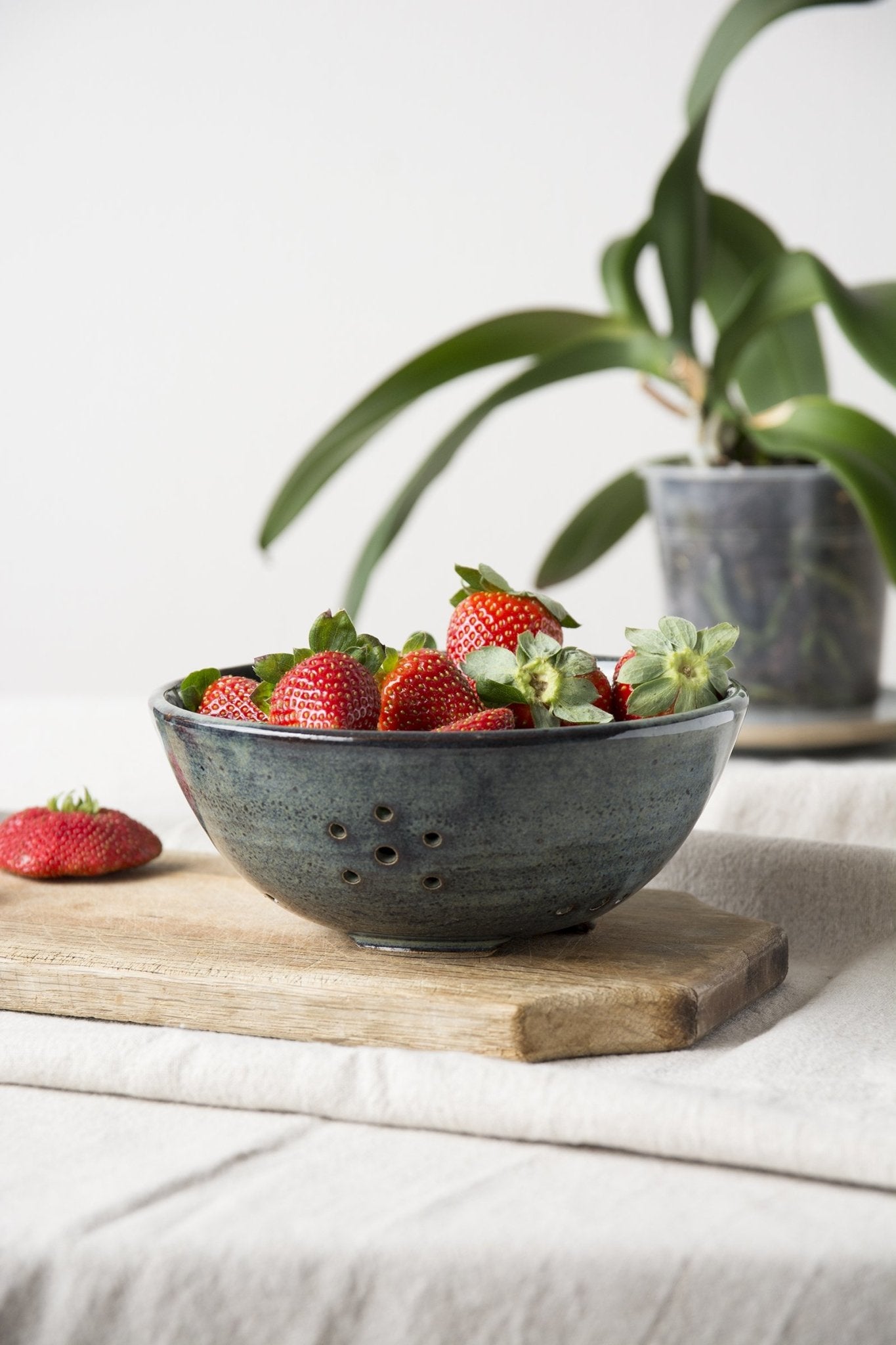 Blue Berry Bowl - RAMIREZ ZANOTTY- colander
