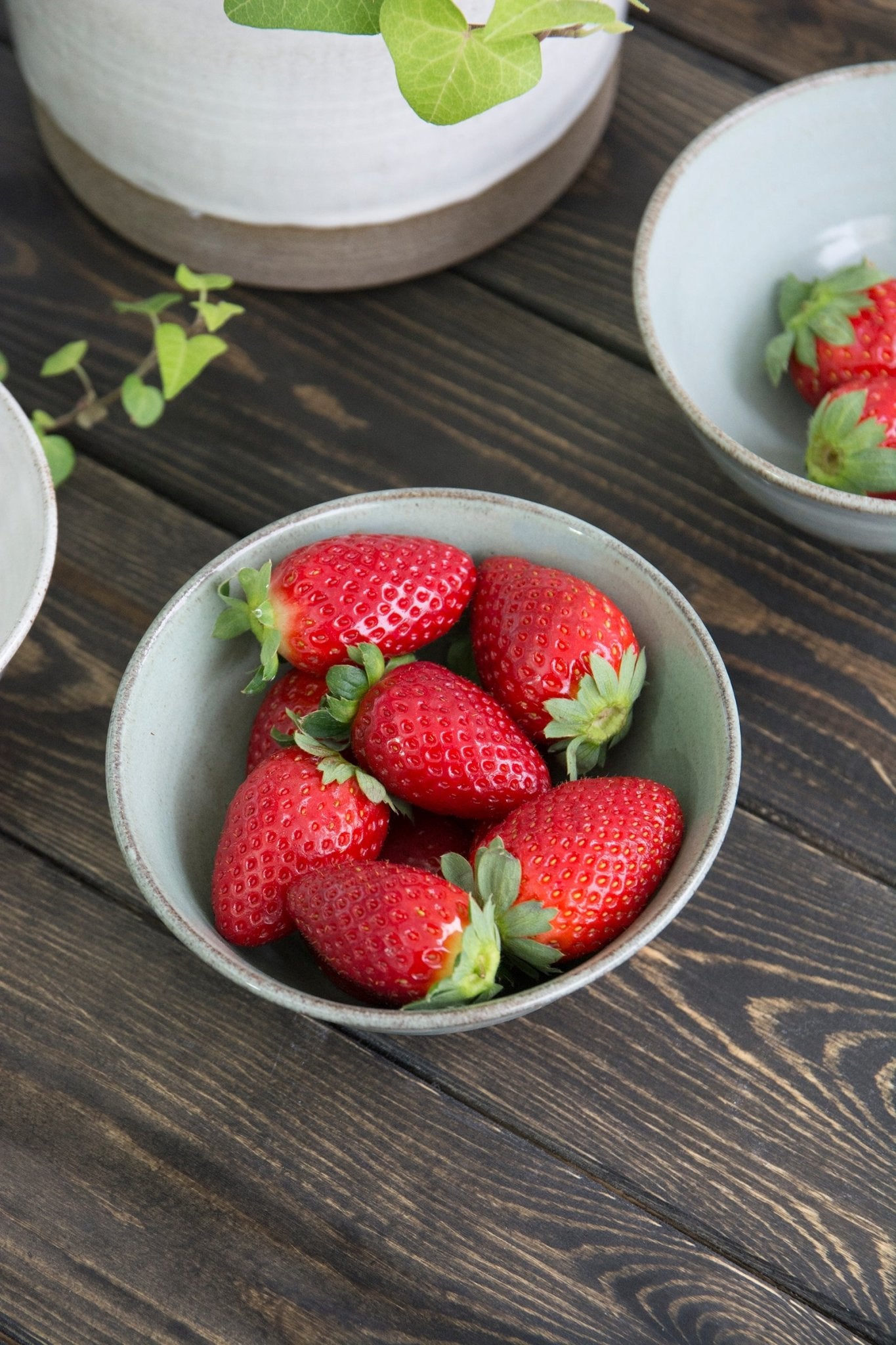 Light Small Serving Bowls - RAMIREZ ZANOTTY- Bowl