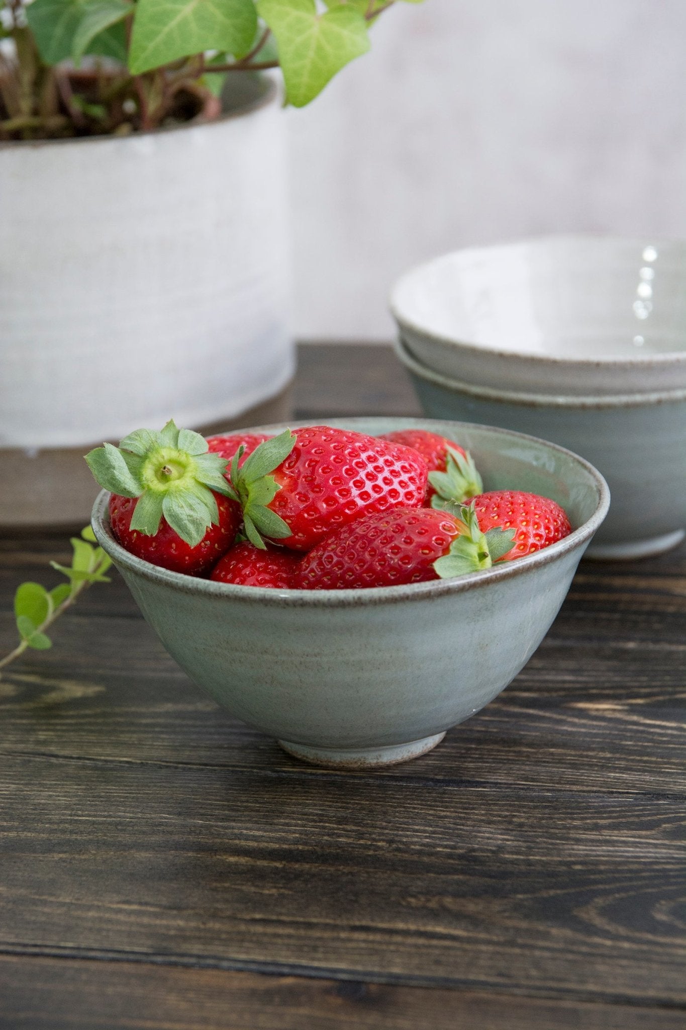 Light Small Serving Bowls - RAMIREZ ZANOTTY- Bowl